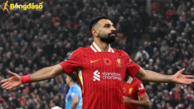 Nhận định kèo bóng đá Brentford vs Liverpool